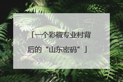 一个彩椒专业村背后的“山东密码”
