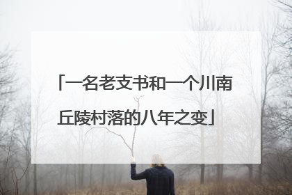 一名老支书和一个川南丘陵村落的八年之变