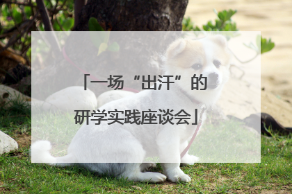 一场“出汗”的研学实践座谈会