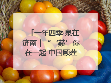 一年四季·泉在济南｜“‘赫’你在一起 中国颐莲喷雾节”盛大开启 共赴水润之约