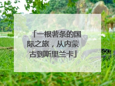 一根薯条的国际之旅，从内蒙古到斯里兰卡
