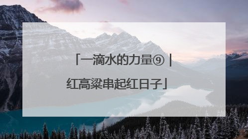 一滴水的力量⑨｜红高粱串起红日子