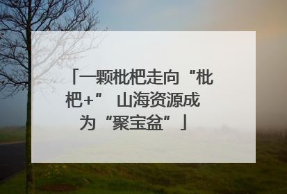 一颗枇杷走向“枇杷+” 山海资源成为“聚宝盆”
