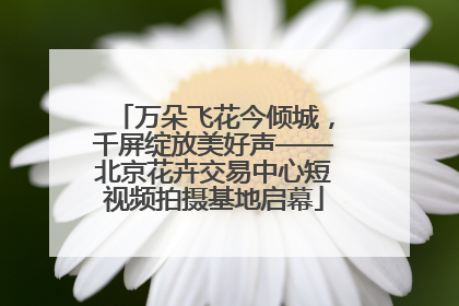 万朵飞花今倾城，千屏绽放美好声——北京花卉交易中心短视频拍摄基地启幕