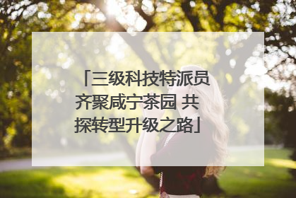 三级科技特派员齐聚咸宁茶园 共探转型升级之路