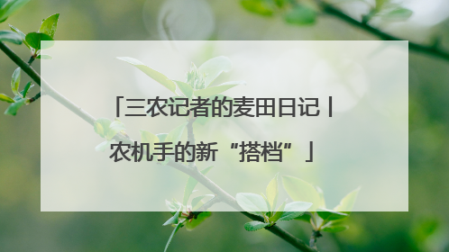 三农记者的麦田日记丨农机手的新“搭档”
