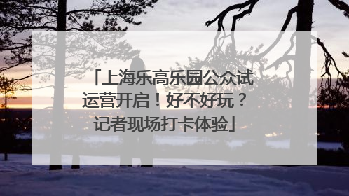 上海乐高乐园公众试运营开启！好不好玩？记者现场打卡体验