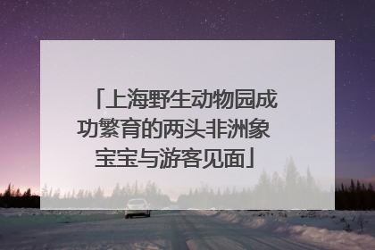上海野生动物园成功繁育的两头非洲象宝宝与游客见面