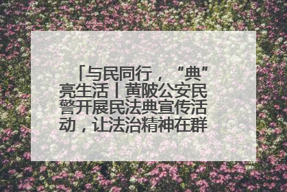 与民同行，“典”亮生活丨黄陂公安民警开展民法典宣传活动，让法治精神在群众心中落地生根