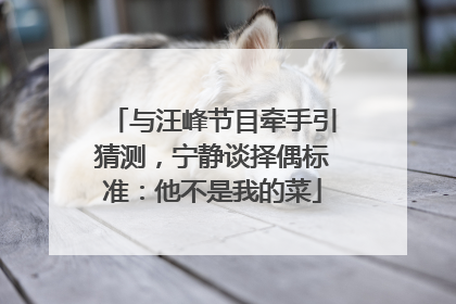 与汪峰节目牵手引猜测，宁静谈择偶标准：他不是我的菜