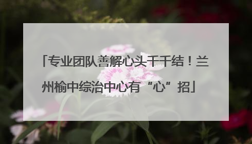 专业团队善解心头千千结！兰州榆中综治中心有“心”招