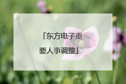 东方电子重要人事调整