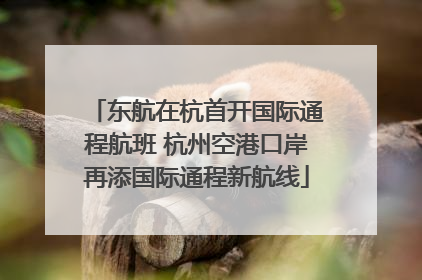 东航在杭首开国际通程航班 杭州空港口岸再添国际通程新航线