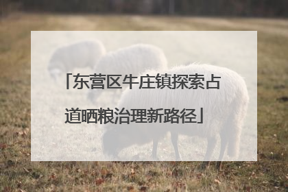 东营区牛庄镇探索占道晒粮治理新路径