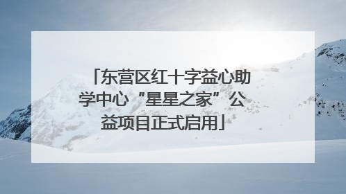 东营区红十字益心助学中心“星星之家”公益项目正式启用