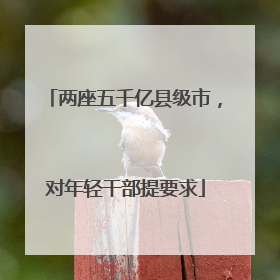 两座五千亿县级市，对年轻干部提要求
