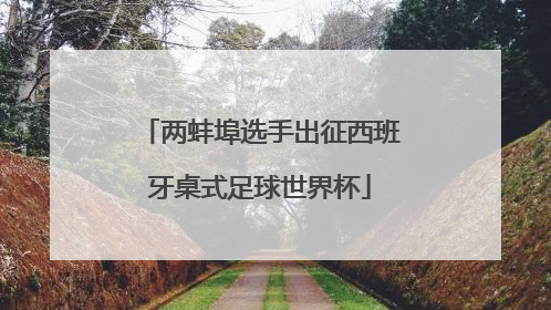 两蚌埠选手出征西班牙桌式足球世界杯