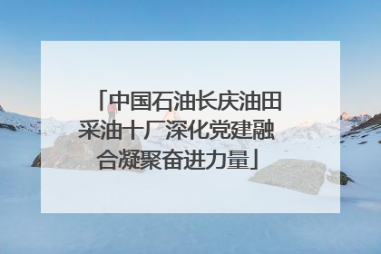 中国石油长庆油田采油十厂深化党建融合凝聚奋进力量