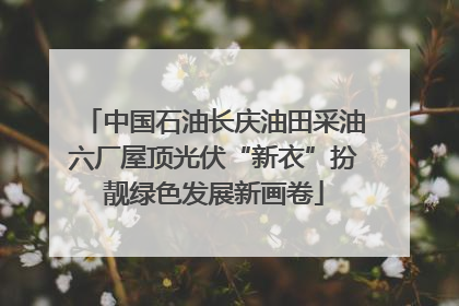 中国石油长庆油田采油六厂屋顶光伏“新衣”扮靓绿色发展新画卷
