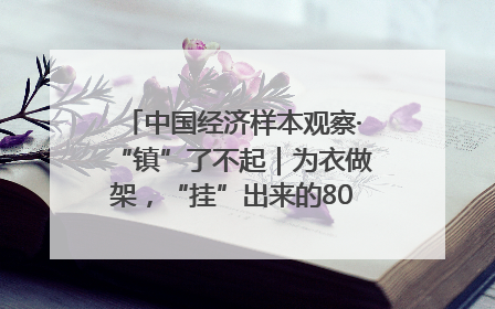 中国经济样本观察·“镇”了不起｜为衣做架，“挂”出来的80亿元“衣架产业”