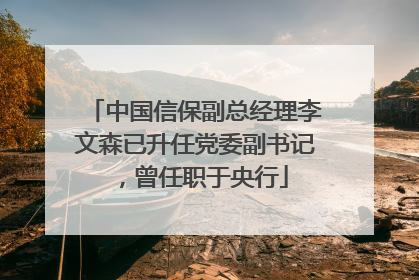 中国信保副总经理李文森已升任党委副书记，曾任职于央行