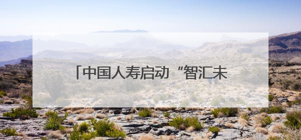 中国人寿启动“智汇未来 一生守护”2025年客户节主题活动