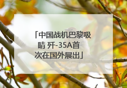 中国战机巴黎吸睛 歼-35A首次在国外展出
