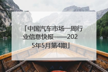 中国汽车市场一周行业信息快报——2025年5月第4期
