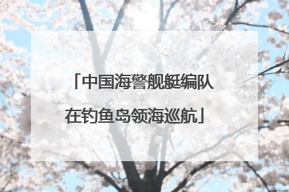 中国海警舰艇编队在钓鱼岛领海巡航