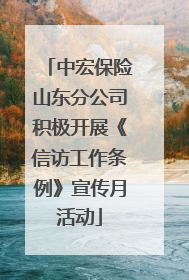 中宏保险山东分公司积极开展《信访工作条例》宣传月活动