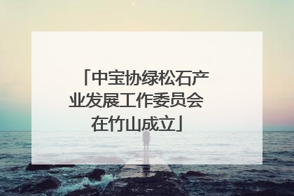 中宝协绿松石产业发展工作委员会在竹山成立