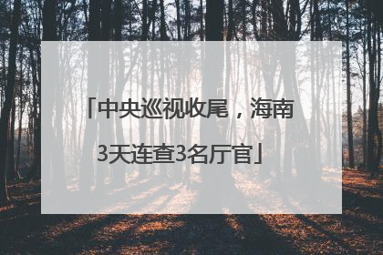 中央巡视收尾，海南3天连查3名厅官