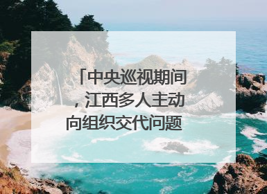中央巡视期间，江西多人主动向组织交代问题｜打虎拍蝇