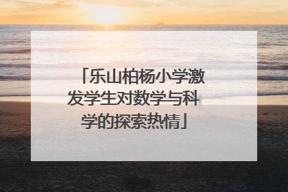 乐山柏杨小学激发学生对数学与科学的探索热情