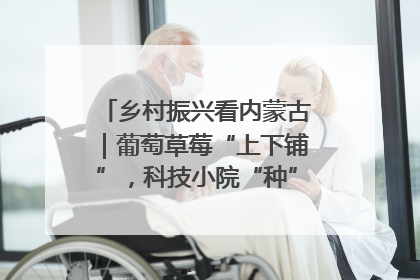 乡村振兴看内蒙古｜葡萄草莓“上下铺”，科技小院“种”出三倍效益