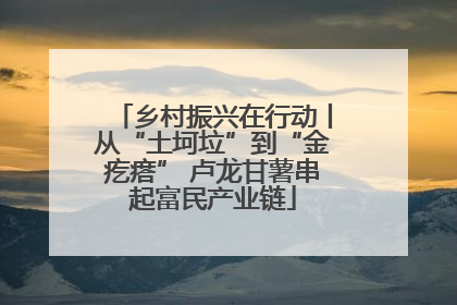 乡村振兴在行动丨从“土坷垃”到“金疙瘩” 卢龙甘薯串起富民产业链