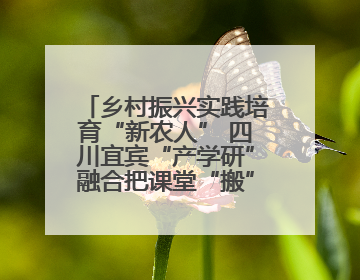 乡村振兴实践培育“新农人” 四川宜宾“产学研”融合把课堂“搬”到田间