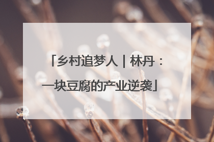 乡村追梦人｜林丹：一块豆腐的产业逆袭