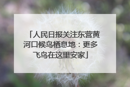 人民日报关注东营黄河口候鸟栖息地：更多飞鸟在这里安家