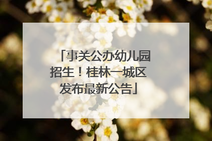 事关公办幼儿园招生！桂林一城区发布最新公告