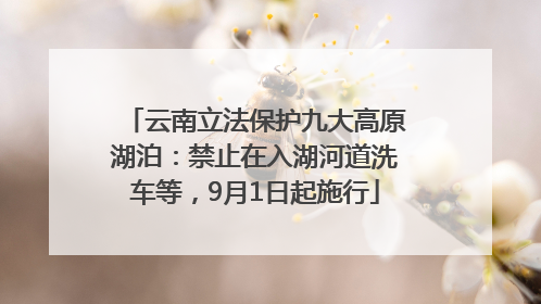 云南立法保护九大高原湖泊：禁止在入湖河道洗车等，9月1日起施行