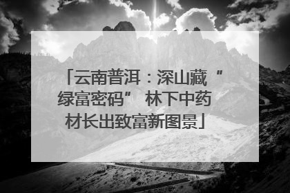 云南普洱：深山藏“绿富密码” 林下中药材长出致富新图景