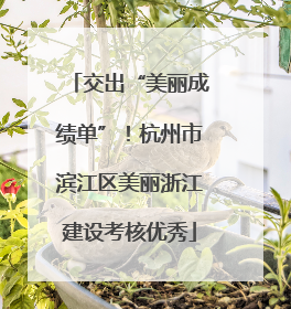 交出“美丽成绩单”！杭州市滨江区美丽浙江建设考核优秀