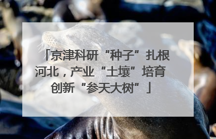 京津科研“种子”扎根河北，产业“土壤”培育创新“参天大树”