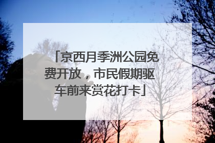 京西月季洲公园免费开放，市民假期驱车前来赏花打卡