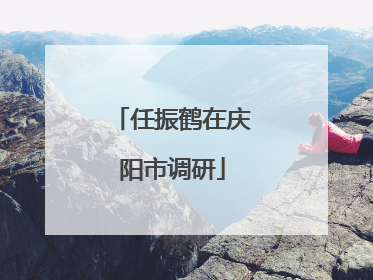 任振鹤在庆阳市调研