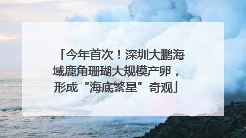今年首次！深圳大鹏海域鹿角珊瑚大规模产卵，形成“海底繁星”奇观