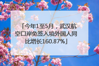 今年1至5月，武汉航空口岸免签入境外国人同比增长160.87%