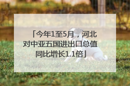 今年1至5月，河北对中亚五国进出口总值同比增长1.1倍