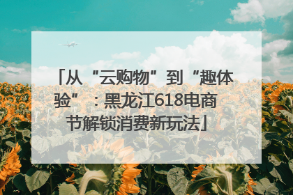 从“云购物”到“趣体验”：黑龙江618电商节解锁消费新玩法
